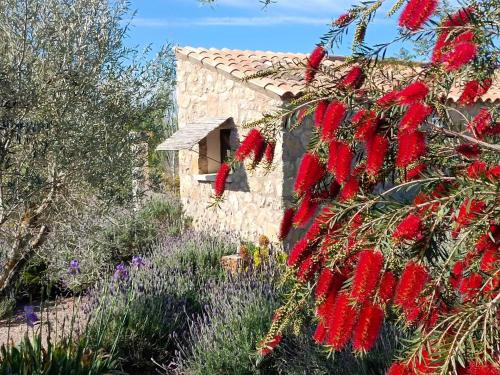 a tree with red flowers in front of a building at Agroturisme Es Racó De Maria in Maria de la Salut
