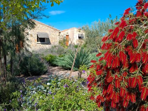 a garden with red flowers in front of a building at Agroturisme Es Racó De Maria in Maria de la Salut