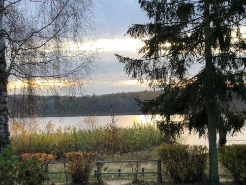 a bench sitting in front of a lake at Vogtis Ferienhaus am Glammsee in Warin