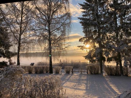 a snow covered park with a bench and trees at Vogtis Ferienhaus am Glammsee in Warin