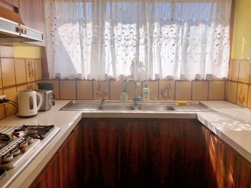 Kuchyň nebo kuchyňský kout v ubytování Double room