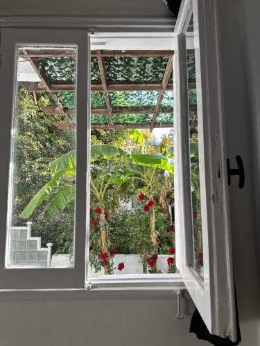 Сад в APOLO- Modern 1-Bedroom apartment in Heart of Zamalek visits allowed