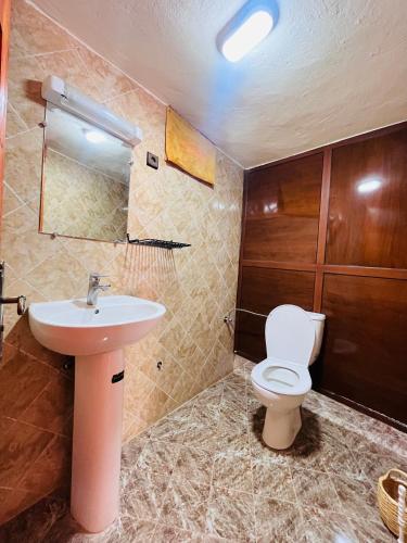 a bathroom with a toilet and a sink at Camping auberge palmeraie d'amezrou in Zagora
