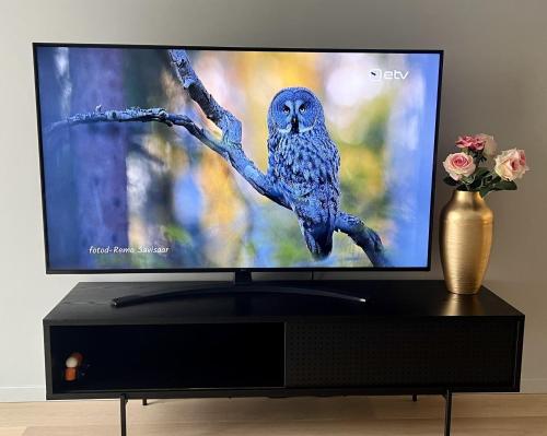 Et tv og/eller underholdning på Saue Apartment