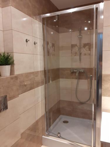 y baño con ducha y puerta de cristal. en Villa Spokojna 26, en Mielno