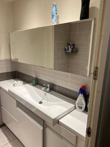 a bathroom with a white sink and a mirror at 1 bed and breakfast by the Thames in Thamesmead