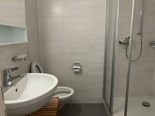 La salle de bains est pourvue d'un lavabo, de toilettes et d'une douche. dans l'établissement Studio ensoleillé avec balcon, à Lausanne