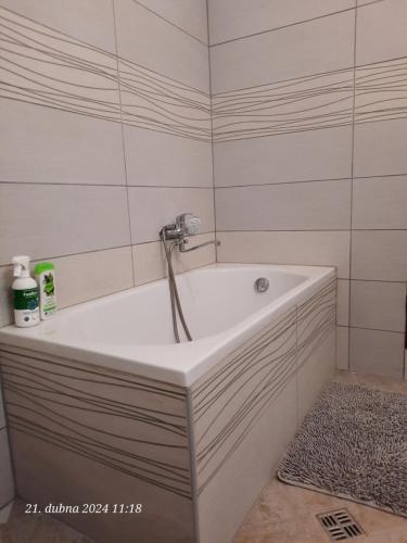 Koupelna v ubytování Skromný apartmán v centru Chebu, 3. Floor