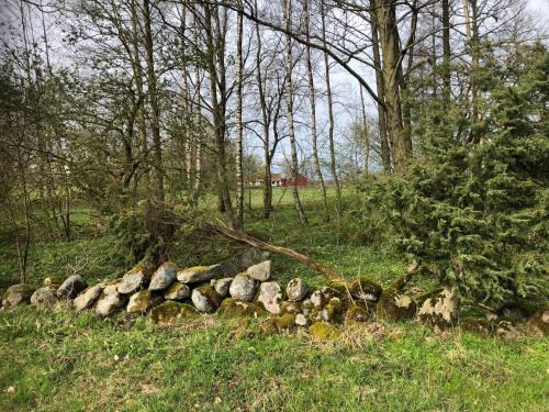 a pile of rocks next to a tree at Torpet in Tollarp