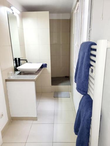ein Badezimmer mit einem Waschbecken und einem blauen Handtuch in der Unterkunft proche maison carrée in Nîmes