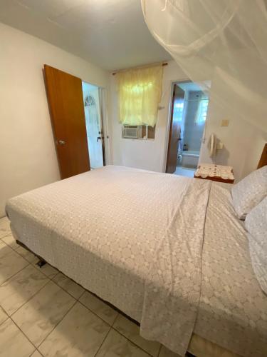 Gallery image of Coconut house Charlestown nevis in Charlestown