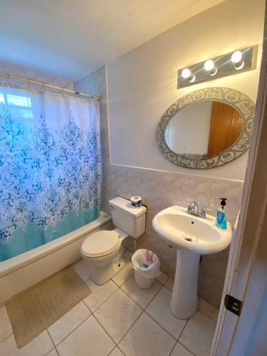 La salle de bains est pourvue d'un lavabo, de toilettes et d'un miroir. dans l'établissement Coconut house Charlestown nevis, à Charlestown