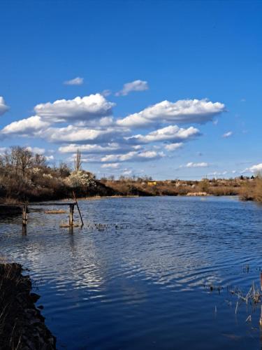 a body of water with ducks in the water at Eagles Court - Orlovski Vrt in Staji°evo