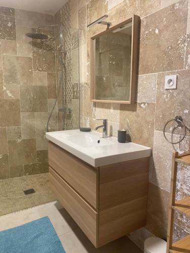 une salle de bain avec un lavabo, un miroir et une douche dans l'établissement Villa CALLINAJO , à 1 min de la plage LOZARI, à Belgodère