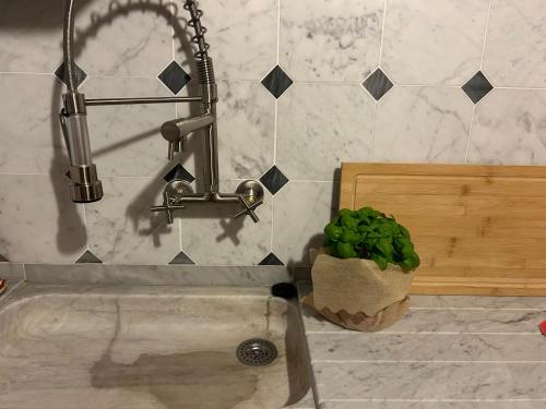 um lavatório de cozinha com uma torneira e um vaso de plantas em La Porta sui Monti di Luna em Carrara
