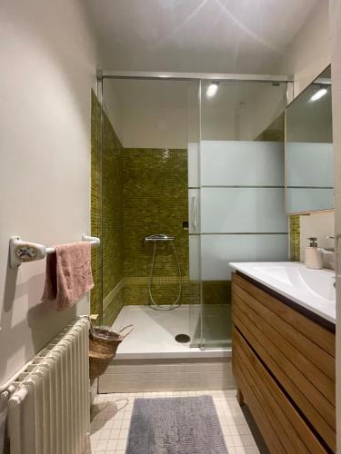 une salle de bain avec une douche, un lavabo et une baignoire dans l'établissement Appartement parisien, à Paris