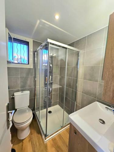 une salle de bain avec toilettes, douche et lavabo dans l'établissement Mini Villa Bord de Mer - Idylle BY MONARCA, à San-Nicolao