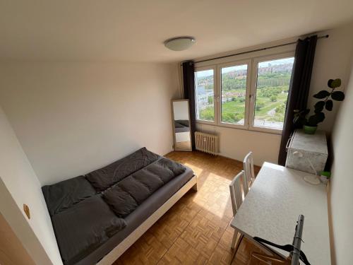 a room with a bed and a table and a window at Private room in a shared park-side apartment with a great connection to the city center in Prague