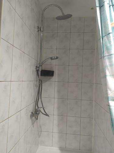 a shower with a shower head in a bathroom at Studio Niebieskie in Wałbrzych