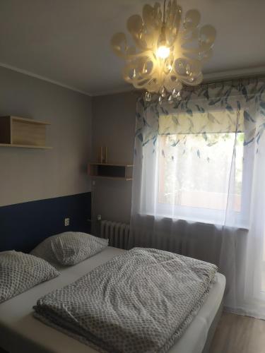 - une chambre avec un lit, un lustre et une fenêtre dans l'établissement Studio Niebieskie, à Wałbrzych