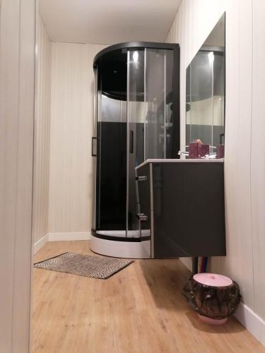 La salle de bains est pourvue d'une douche et d'un grand miroir. dans l'établissement Location meublé non professionnels, à Bains