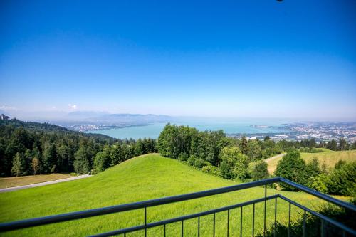 a view of a green hill with trees and water at Hotel Schönblick in Lochau