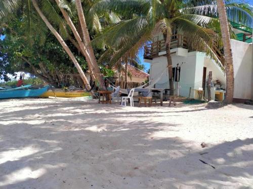 une maison sur la plage avec des palmiers dans l'établissement Beachfront Guesthouse Siquijor, à San Juan