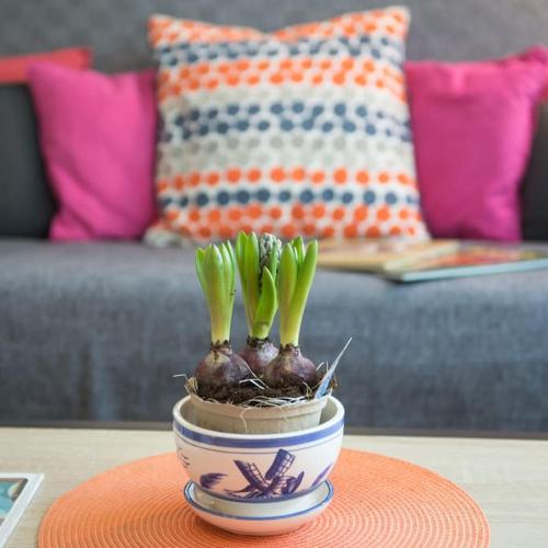 un pot de fleurs avec des plantes vertes dedans sur une table dans l'établissement Au Gîte d'Isigny - Maison de vacances - Normandie, à Isigny-sur-Mer
