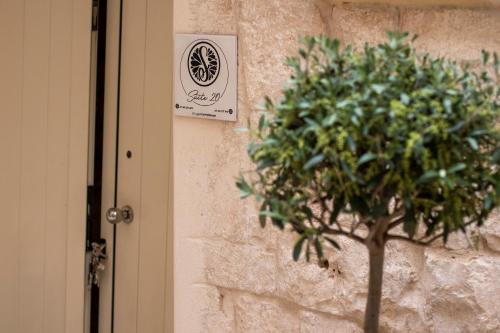 a plant in front of a door with a sign at Suite 20 in Conversano