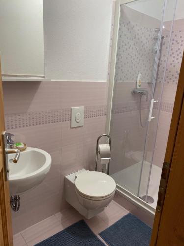 a bathroom with a shower and a toilet and a sink at Atlantis Home in Kulen Vakuf