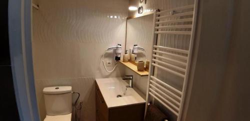La salle de bains est pourvue de toilettes, d'un lavabo et d'un miroir. dans l'établissement CREW KEY WEST, à Antibes