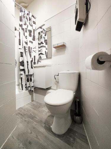 La salle de bains est pourvue de toilettes blanches et d'un distributeur de papier toilette. dans l'établissement Appartement cosy rethel, à Rethel