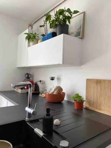 un comptoir de cuisine avec évier et quelques plantes dans l'établissement Maison cosy. Mandres, à Mandres-les-Roses