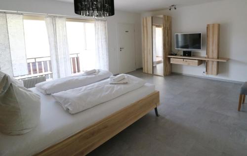 塔瑙伯格的住宿－Spechtsboden C4- hochwertige Ferienwohnung mit 2 Schlafzimmer in Todtnauberg- Ski In and ski out, Feldberg，一间卧室配有两张床和一台平面电视