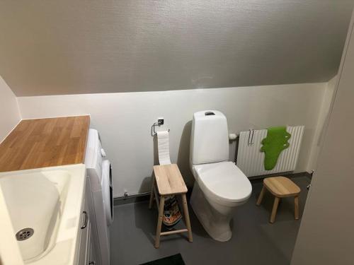 La petite salle de bains est pourvue de toilettes et d'un lavabo. dans l'établissement Östragården, à Sölvesborg