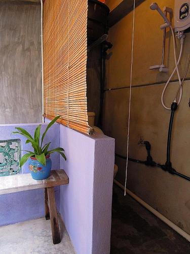 a bathroom with a plant sitting on a bench at MoonTree47 in George Town