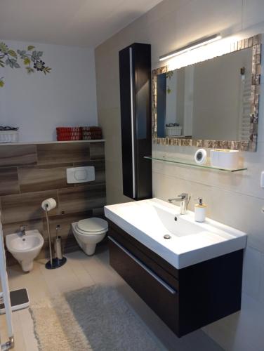 a bathroom with a sink and a toilet and a mirror at Villa Lake in Konjic