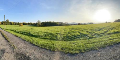 a field of green grass next to a dirt road at Posed FOLGE in Děčín
