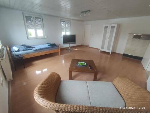 Televisyen dan/atau pusat hiburan di S-21-Appartments Merklingen 2 bis 4 Schlafzimmer