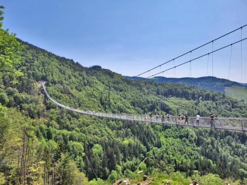 um grupo de pessoas andando em uma ponte suspensa em Fewo 2 - Residenz Schauinsland -Sauna, E-Ladestation, Schauinsland- Todtnauberg, Liftverbund Feldberg em Todtnauberg