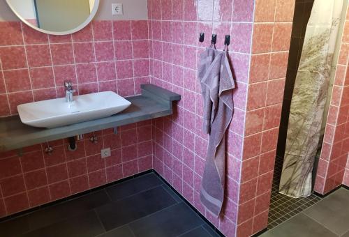 een badkamer met een wastafel en een spiegel bij Unterkunft - Alte Hofstraße - in Damlos