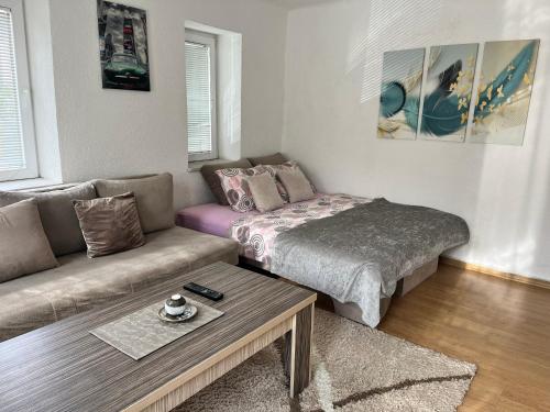 - un salon avec un canapé et une table basse dans l'établissement Apartment Irma, à Sarajevo