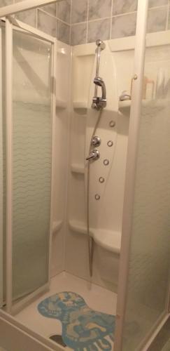 a bathroom with a shower and a toilet and a sink at Maison de campagne avec piscine in Le Blanc
