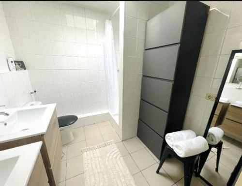 een badkamer met een wastafel, een toilet en een douche bij Volledige bovenwoning binnenstad in Leeuwarden