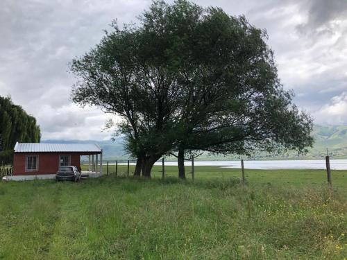 un árbol en un campo al lado de una casa roja en Casa Portal del Lago en El Mollar