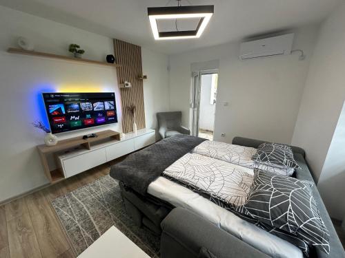APARTMAN DBR -Dobrinja Sarajevo-FREE GARAGE في سراييفو: غرفة نوم مع سرير وتلفزيون بشاشة مسطحة