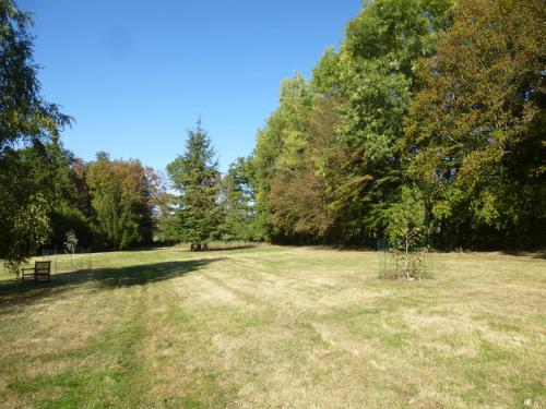 ein Park mit einer Bank auf einem Feld mit Bäumen in der Unterkunft Les Gites de Montinazeau - Water Lillies in Chéniers