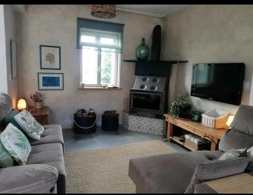 salon z kanapą i telewizorem z płaskim ekranem w obiekcie Casa Suria w mieście Coristanco
