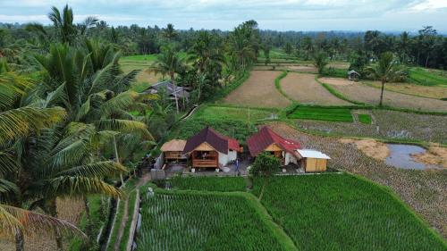 an aerial view of a house in a rice field at Padi Bungalow in Tetebatu