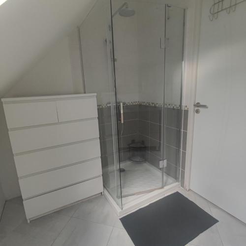 une salle de bain avec une douche en verre et des toilettes dans l'établissement Maison vacances, proche Beauval, à Lye